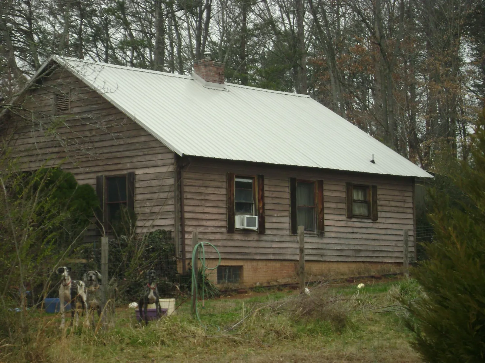 White metal roof on an old wood sided farmhouse, from a Asphalt Shingle Roof Repair job in Unicoi